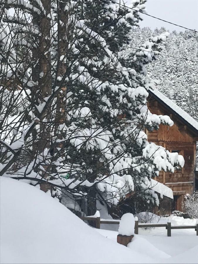 Chalet Pomme de Pin 5 chambres 12 à 14 personnes Formiguères Esterno foto